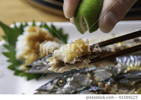 擠出sudachi到秋劍魚 43389125