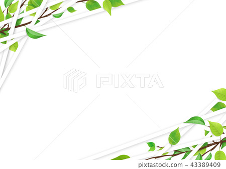 Fresh green line frame (PNG, cutout material) 43389409