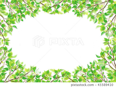 Fresh green leaves green background (PNG, cutout material) Fresh green leaves green background (PNG, cutout material) 43389410