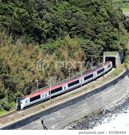 Marine Express Odoriko Marine Express Odoriko 43390484