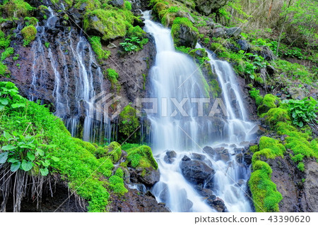 Fresh green Toryu Falls Fresh green Toryu Falls 43390620