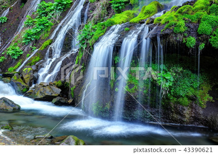 Fresh green Toryu Falls Fresh green Toryu Falls 43390621