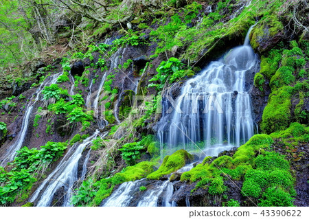 Fresh green Toryu Falls 43390622