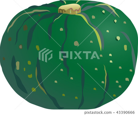 pumpkin pumpkin 43390666