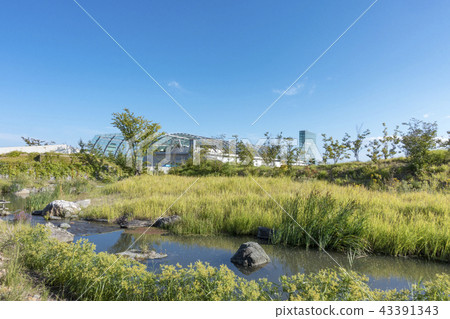 福島海洋科學中心環境水族館海藍寶石福島新海洋博物館 福島海洋科學中心環境水族館海藍寶石福島新海洋博物館 43391343