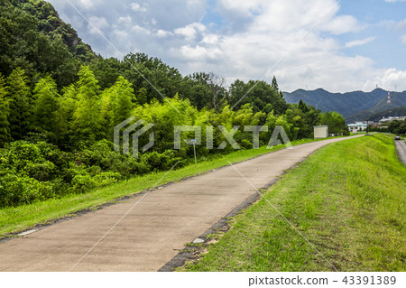 岐阜縣Sakahocho Kisogawa日本線自行車道 岐阜縣Sakahocho Kisogawa日本線自行車道 43391389