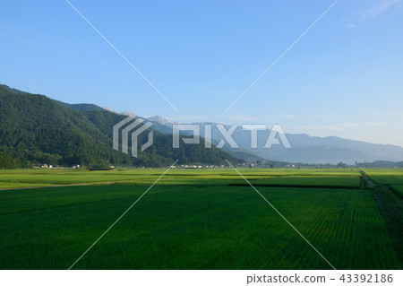 Hakuba in summer 43392186