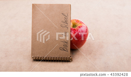 Back to school lettering with a notebook 43392428