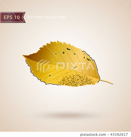 Autumn falling leaves. Leaf fall. Vector illustration. Autumn falling leaves. Leaf fall. Vector illustration. 43392617