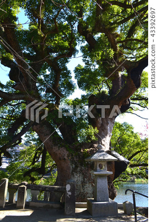 Tourist Attractions in Saga Kawakami Gorge Tourist Attractions in Saga Kawakami Gorge 43392697