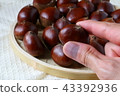 挑栗子 43392936