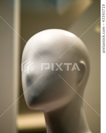 Window model 43393719