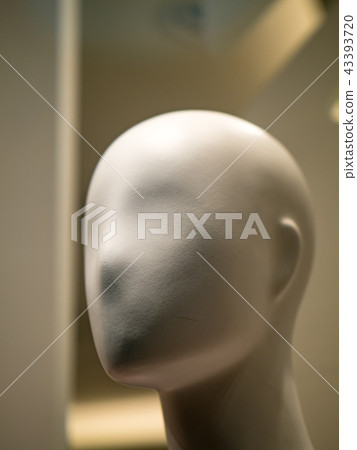 櫥窗模型 43393720