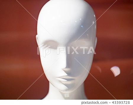 Window model Window model 43393728