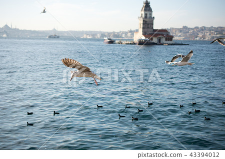 Maidens Tower located in Istanbul Maidens Tower located in Istanbul 43394012