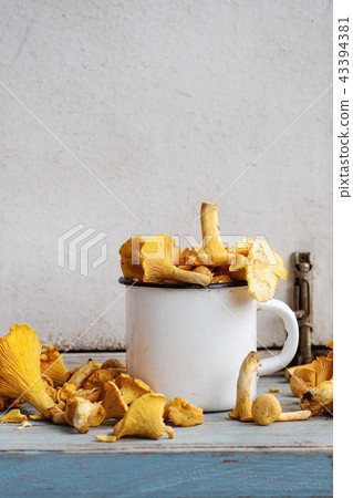 Raw uncooked Chanterelles mushrooms 43394381