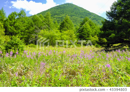 登山和登山 登山和登山 43394803