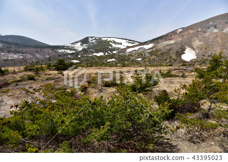 Pure Land in the spring Pure Land in the spring 43395023