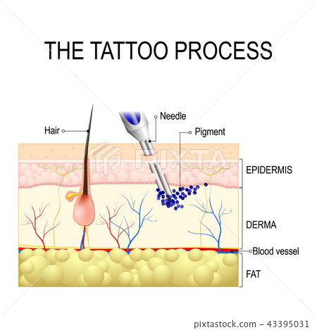 Tattooing Process Stock Illustrations – 639 Tattooing Process Stock  Illustrations, Vectors & Clipart - Dreamstime