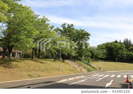 千葉縣Nagareyama市綜合運動公園的景觀 43395320