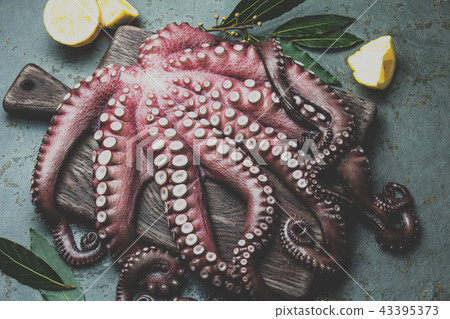 Raw fresh octopus on wooden table with laurel. Top view 43395373
