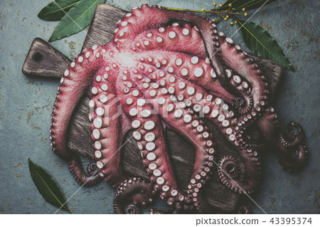 Raw fresh octopus on wooden table with laurel. Top view 43395374