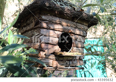 Bird's house Bird's house 43395632