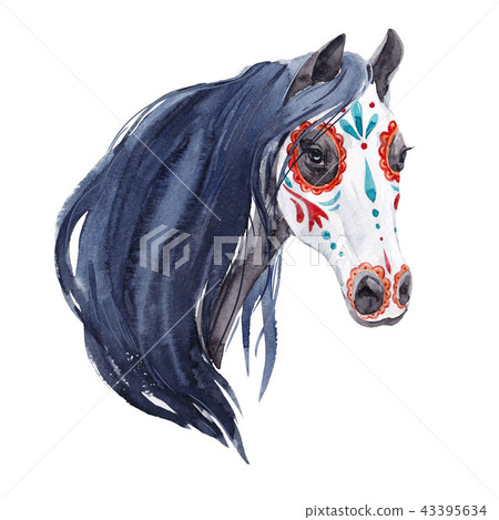 Watercolor horse portrait Watercolor horse portrait 43395634