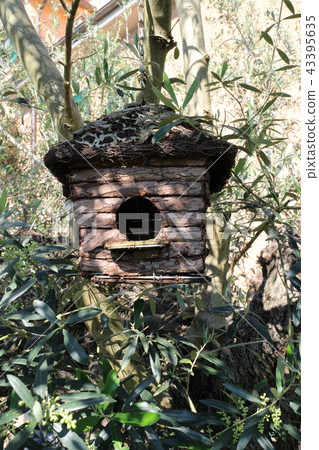 Bird's house Bird's house 43395635