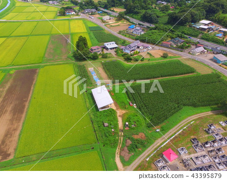 Aerial photographing in the countryside ~ drone (Kanda Basin / Zao-machi Kariya-gun, Miyagi prefecture) 43395879