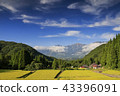 Hakuba Aoni Tanada waiting for the original harvest of autumn sky 43396091