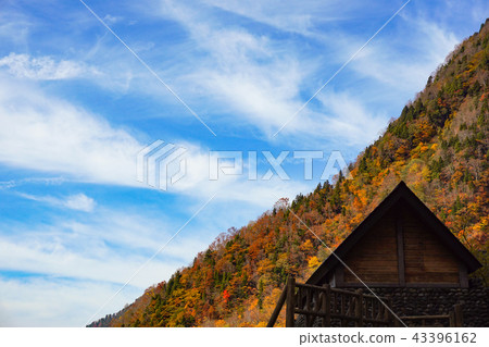 Autumn, colored leaves around Shimonaki National Park Toyama Prefectural Yamacho Autumn, colored leaves around Shimonaki National Park Toyama Prefectural Yamacho 43396162