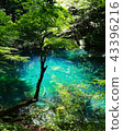 Pond of a waterfall 43396216