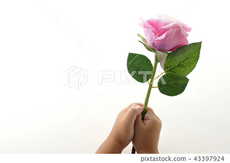 玫瑰花懺悔感恩禮物 43397924