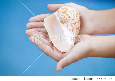 Seashell girl hands beach 43398222