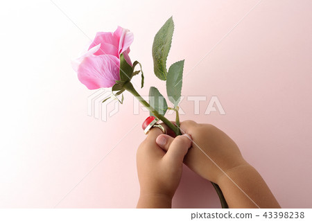 Rose flower confession gratitude present Rose flower confession gratitude present 43398238