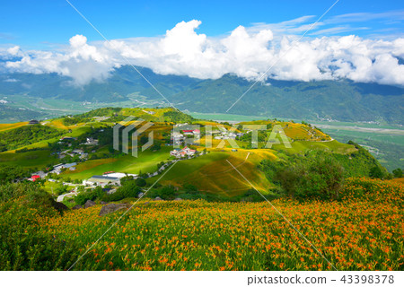 山頂山，金線場，太陽光，淺藍色雲，完美的美景。 43398378