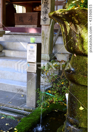 Unojinji寺染成黃色，帶有黃色的銀杏葉 43398655