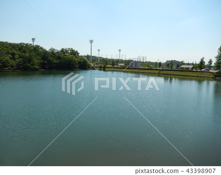 Pond of Aichi Earth Expo Memorial Park 43398907