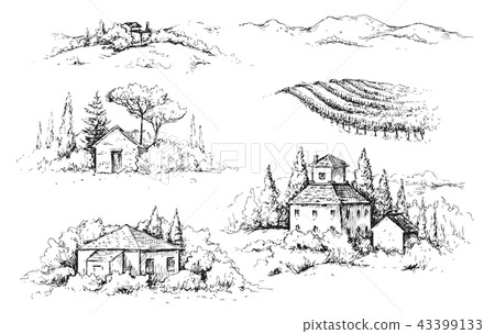 Rural Scene with Houses, Vineyard Trees Sketch Rural Scene with Houses, Vineyard Trees Sketch 43399133