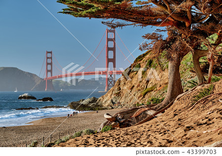 Golden Gate Bridge, San Francisco, California Golden Gate Bridge, San Francisco, California 43399703