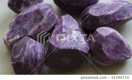 close up on Vitelotte blue-violet potato close up on Vitelotte blue-violet potato 43399714