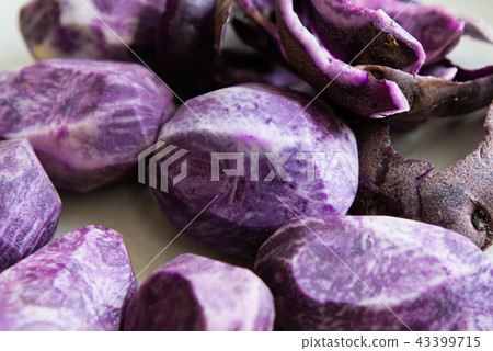 close up on Vitelotte blue-violet potato close up on Vitelotte blue-violet potato 43399715
