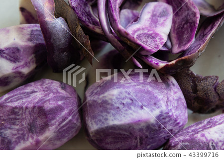 close up on Vitelotte blue-violet potato close up on Vitelotte blue-violet potato 43399716