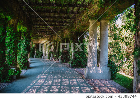 Inside the Pergola park in Wroclaw, Poland Inside the Pergola park in Wroclaw, Poland 43399744