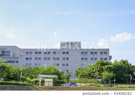 橫濱羅賽醫院（神奈川縣橫濱市港北區）的出現 43400282