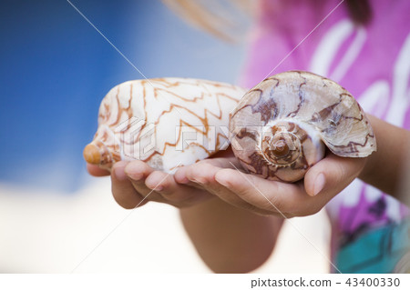 Seashell girl hands beach 43400330