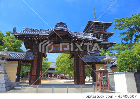 Zentuji Temple under the clear sky, Namdaemun and the five-story pagoda Zentuji Temple under the clear sky, Namdaemun and the five-story pagoda 43400507