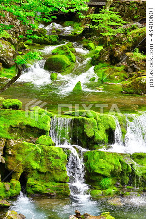 Green and clear image 43400601