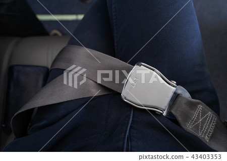 飛機/安全帶 飛機/安全帶 43403353